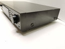 45500419