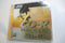 JVC CD-R CD-RA80DE 80min Music Audio Blank Recordable Disc CDR - NEW & SEALED