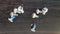 8 x HDD SCREWS - Pack of 8 Hard Disk Drive Screws for 3.5" drive